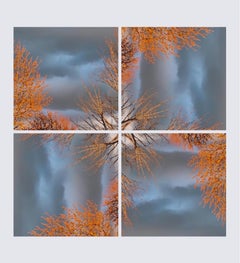 Photographie « Buds Before the Storm » de Deborah Benedic