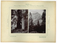 Canada - Cascada Mountains - Original Vintage Photo - 1893