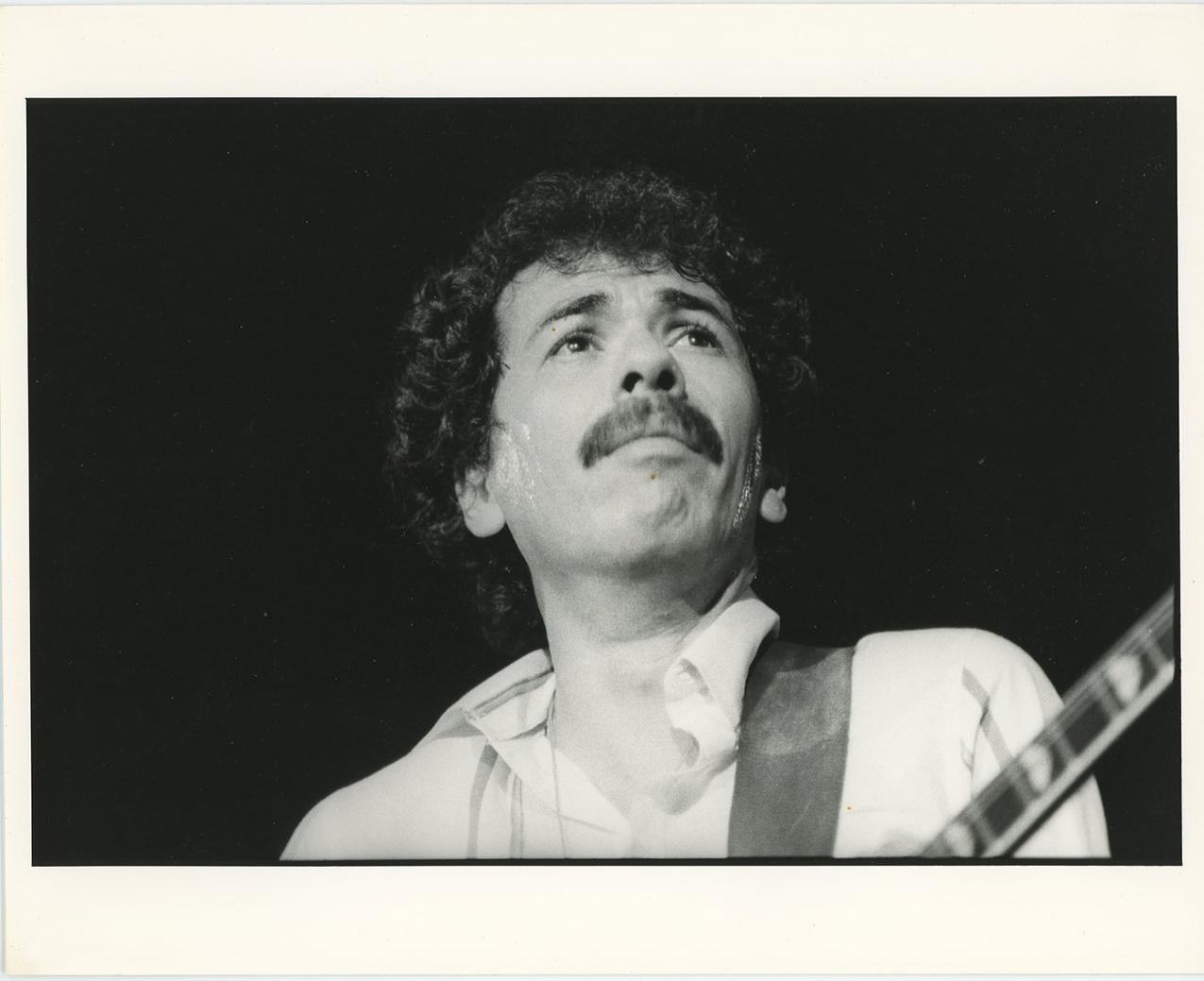 Leigh Palmer Opening No. 54 (Modern Hudson River Valley Oil Landscape