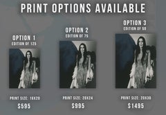 Cher: Fashion Icon Fine Art Print