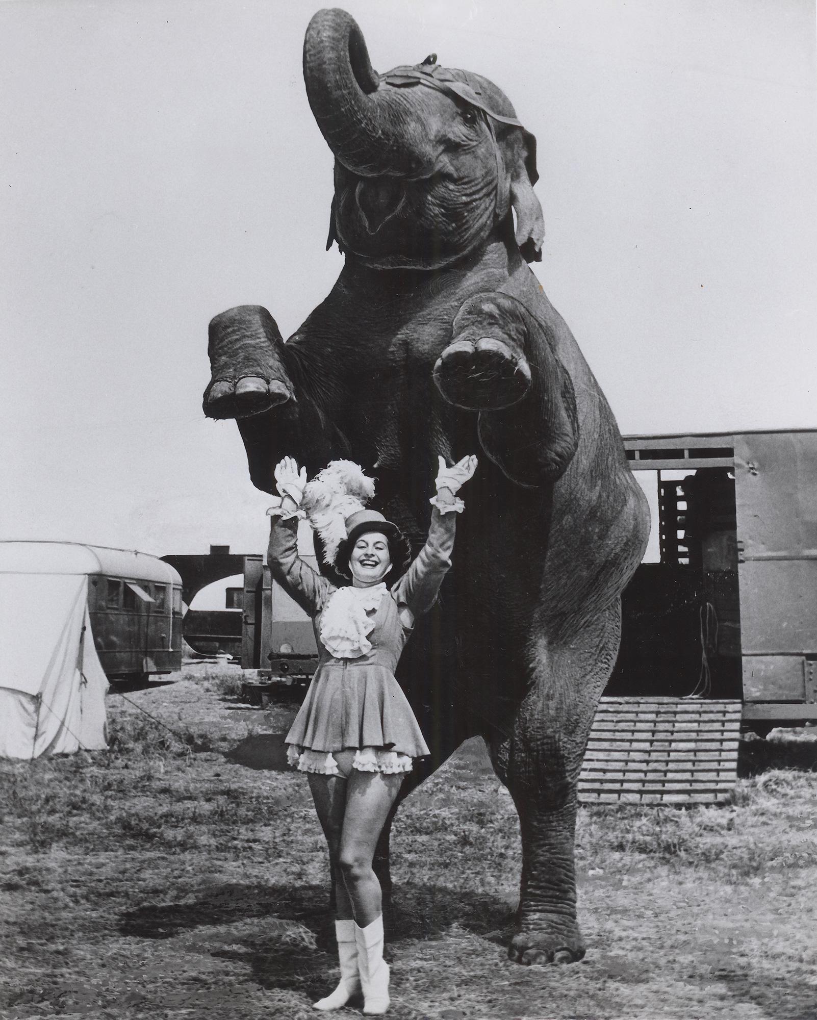 Circus Girl Trainer with Elephant