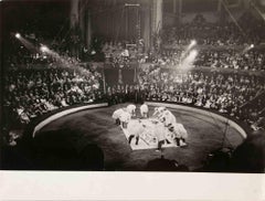 Circus Performance - Vintage Photograph - 1950s