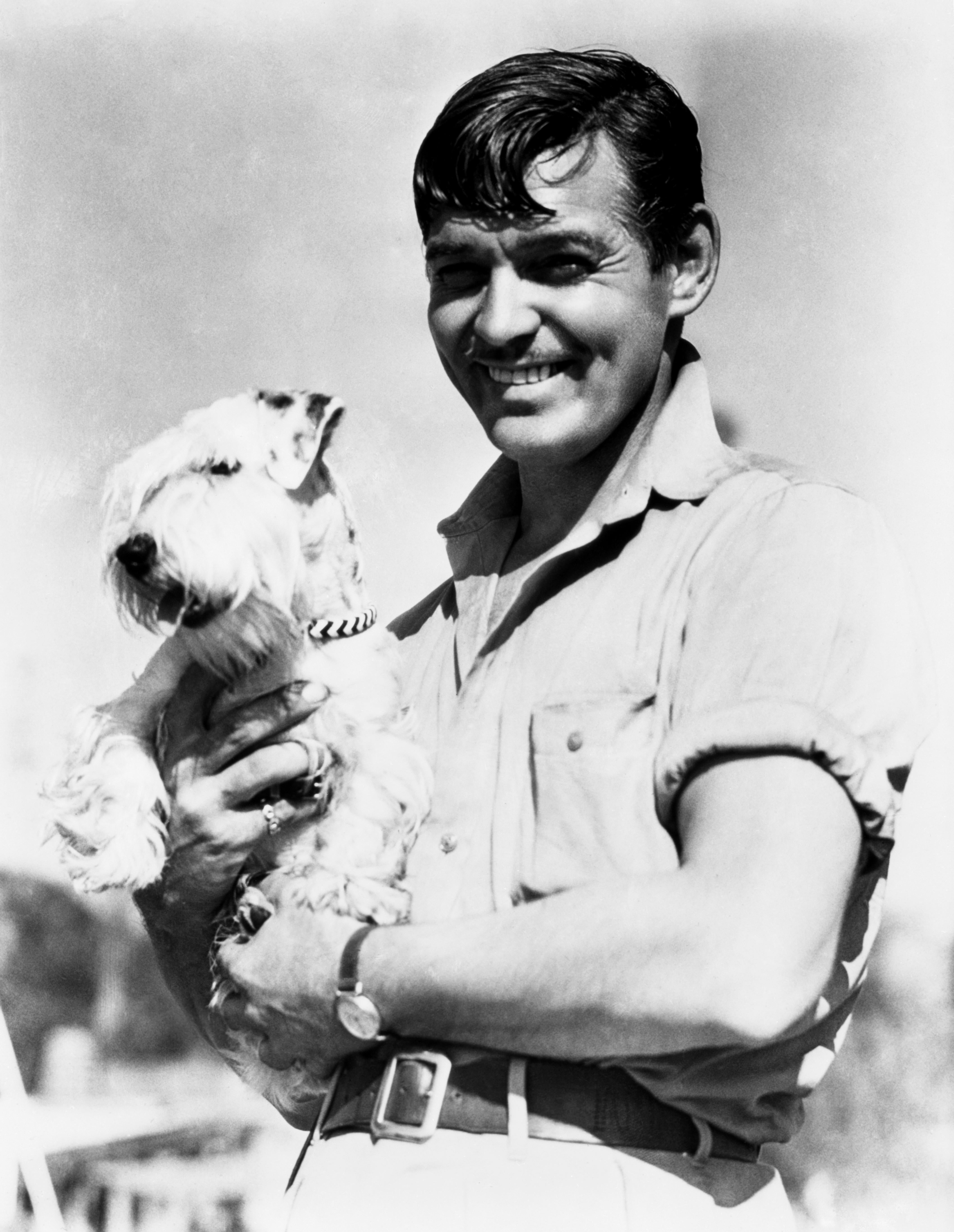 Unknown Black and White Photograph - Clark Gable With a Sealyham Terrier