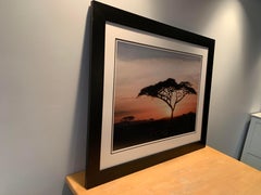 Large Color Photograph African Landscape Matted and Framed
