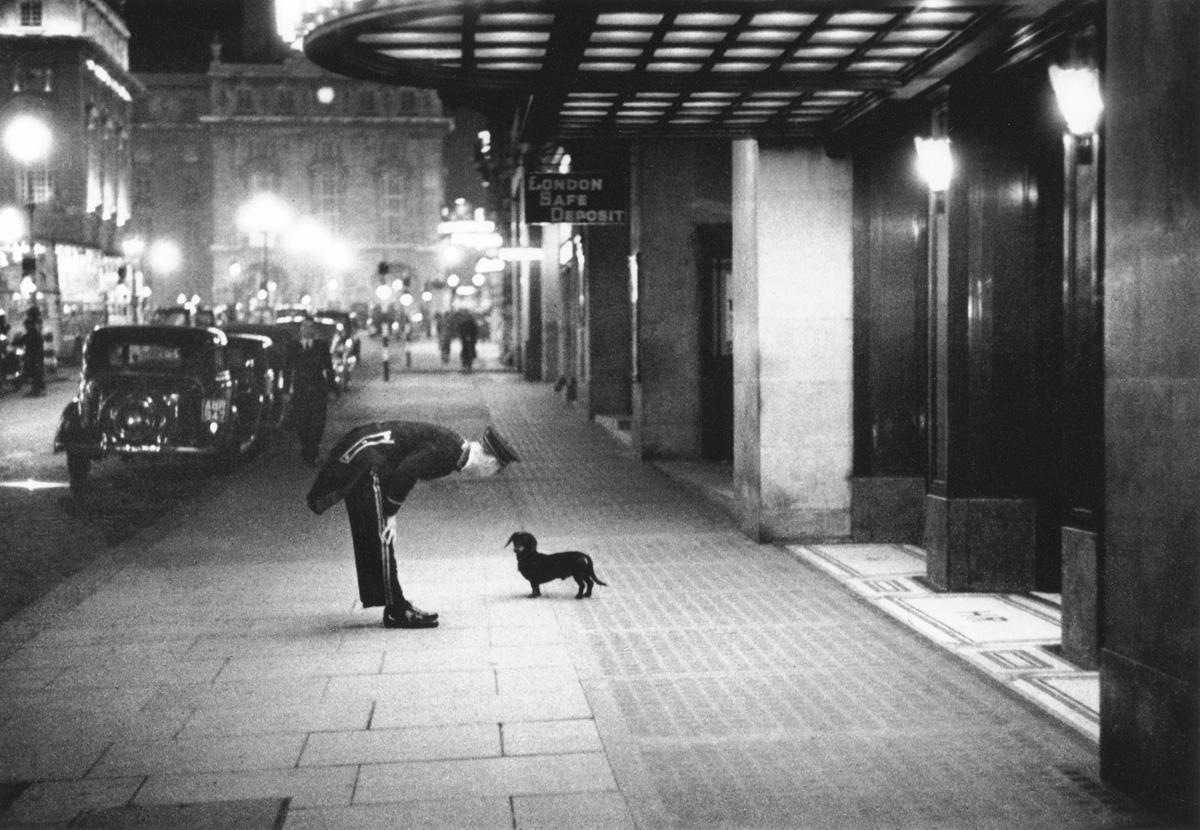 Hund des Kommissars - Londoner Luxushotel Dackel Silbergelatineabzug