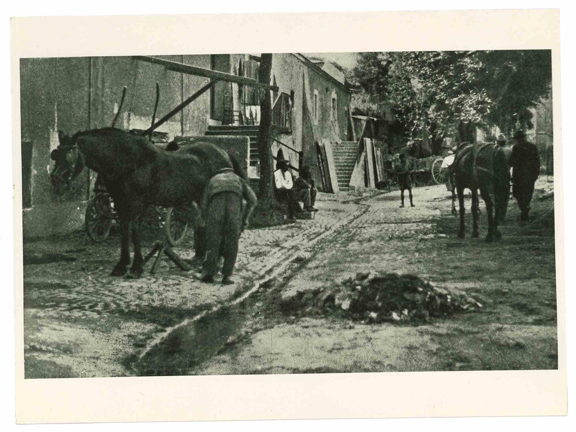 Unknown Landscape Photograph - Country Life Of Rome - Vintage Photograph - Early 20th Century