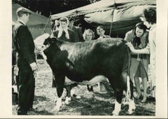 County Fair - American Vintage Photograph - Mid 20th Century