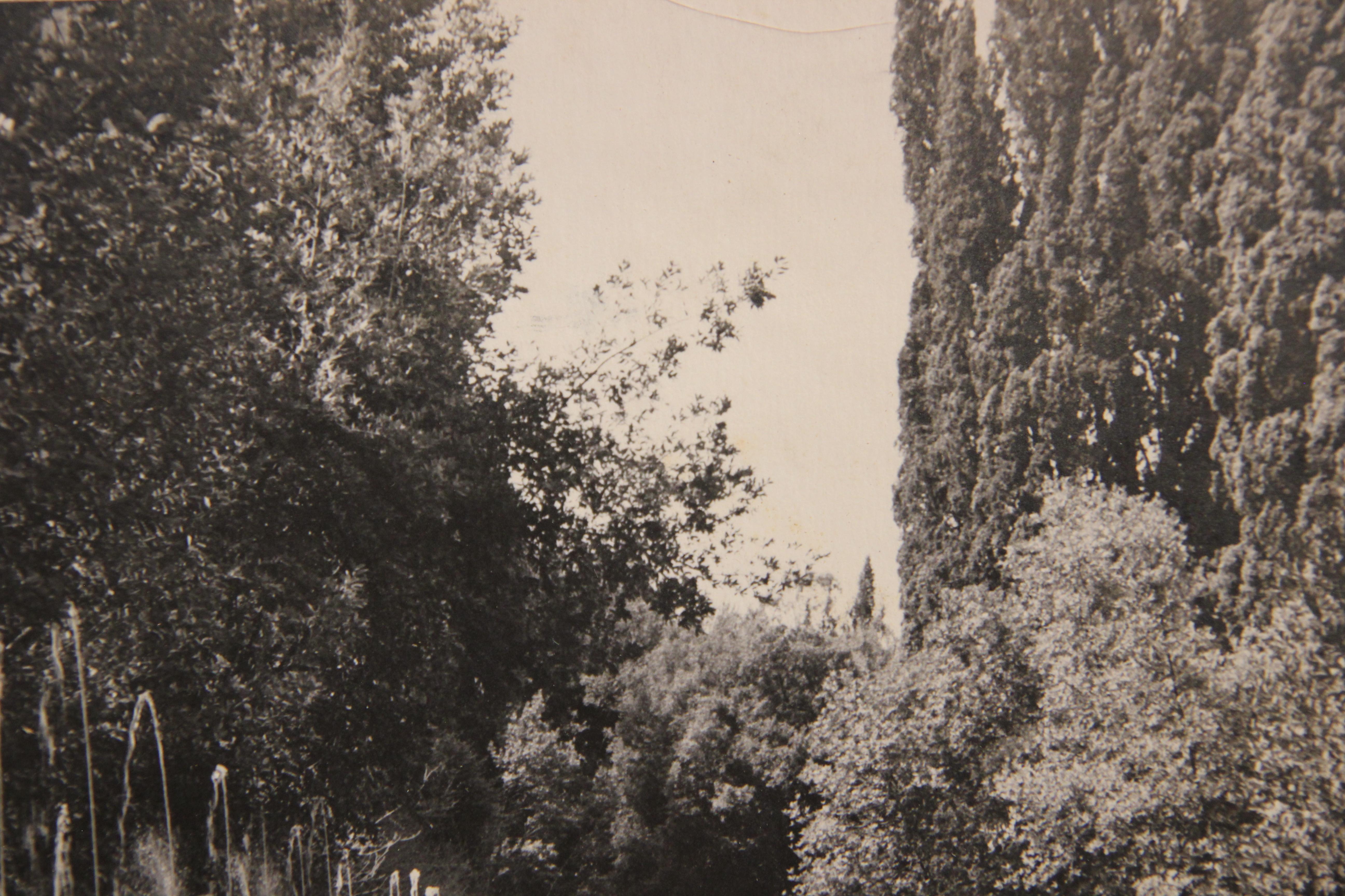 Águilas de Vill d'Este Entre los Caños de las Cien Fuentes de Vill d'Este Foto - Landscape Photograph Gris de Unknown