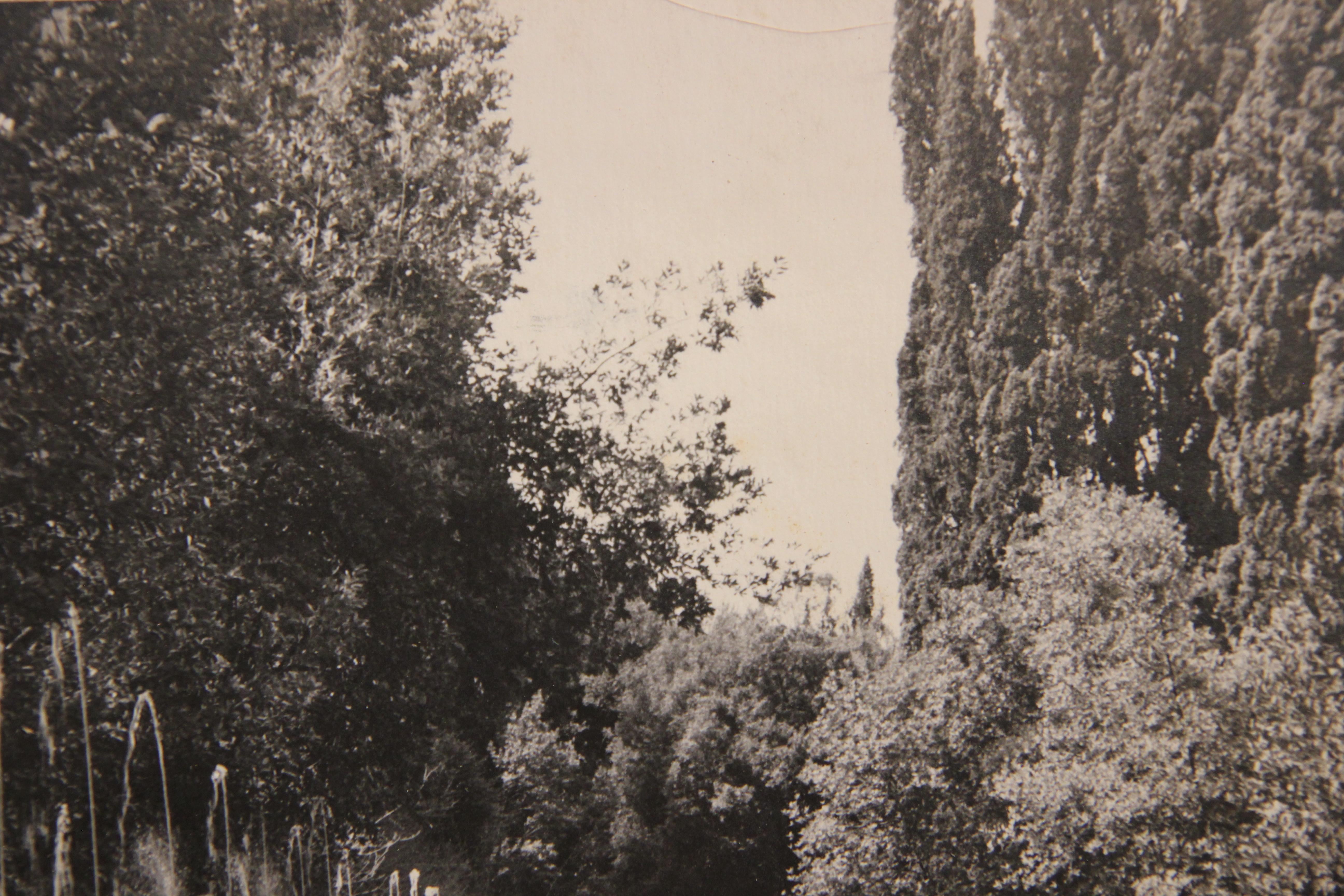 d'Este Eagles Among the Spouts in the Hundred Fountains in the Vill d'Este Photo - Gris Landscape Photograph par Unknown