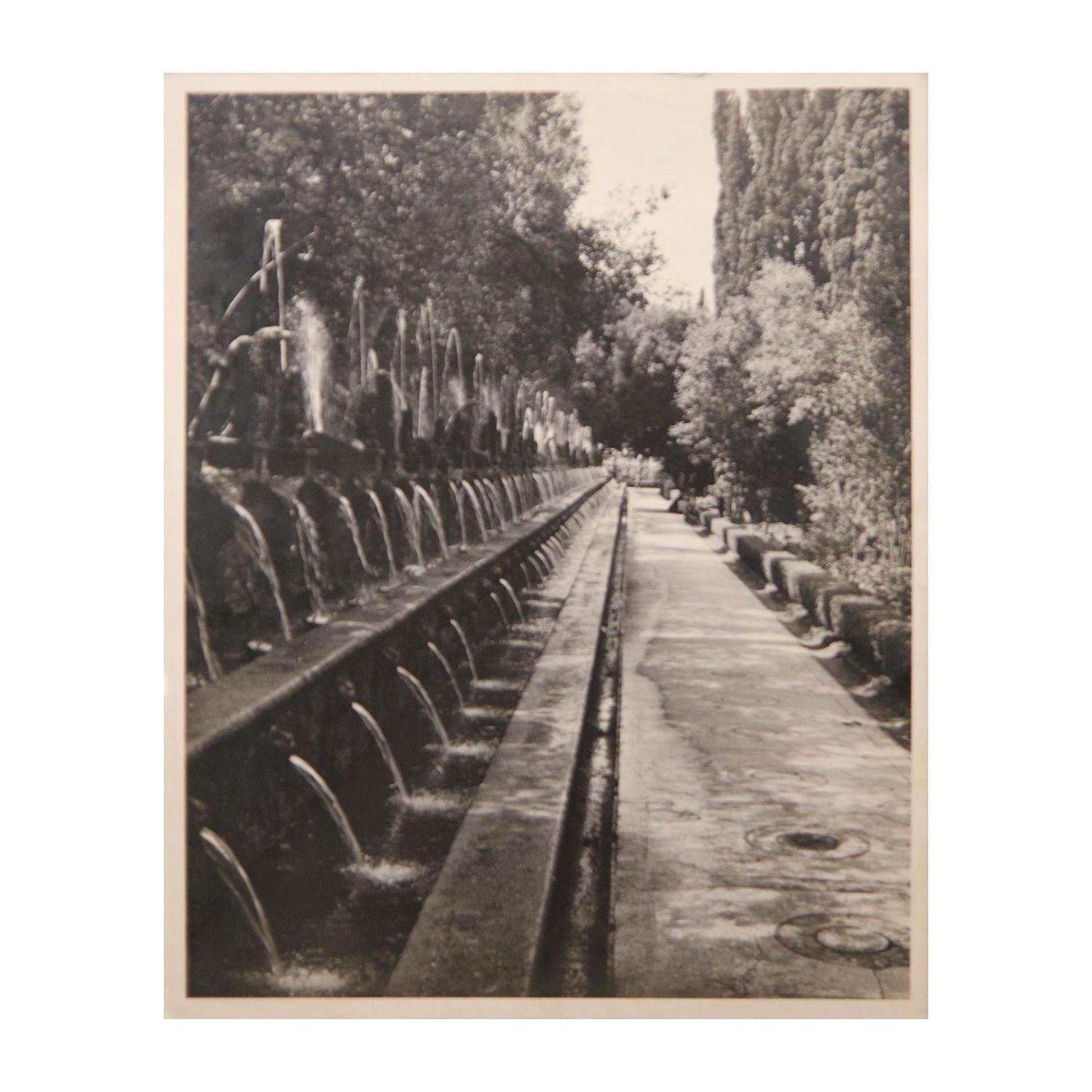 Unknown Landscape Photograph - d'Este Eagles Among the Spouts in the Hundred Fountains in the Vill d'Este Photo