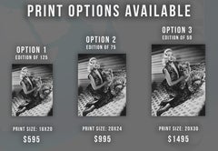 Diana Dors with Stuffed Cat Movie Star News Fine Art Print