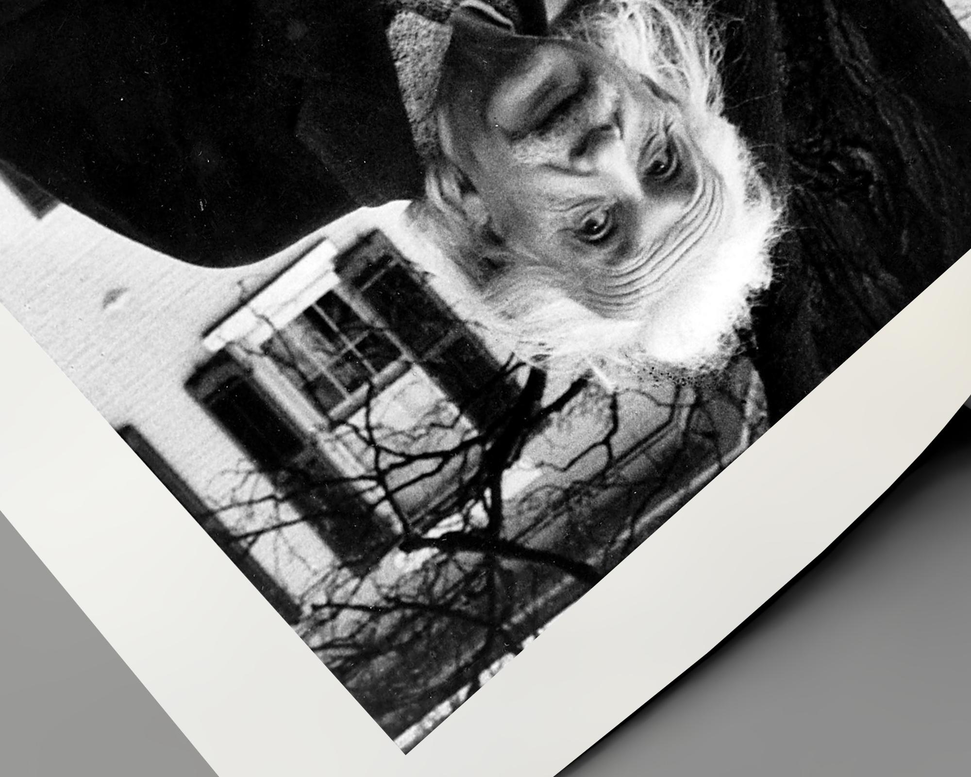 Dr. Albert Einstein Ikonisches Porträt (Zeitgenössisch), Photograph, von Unknown