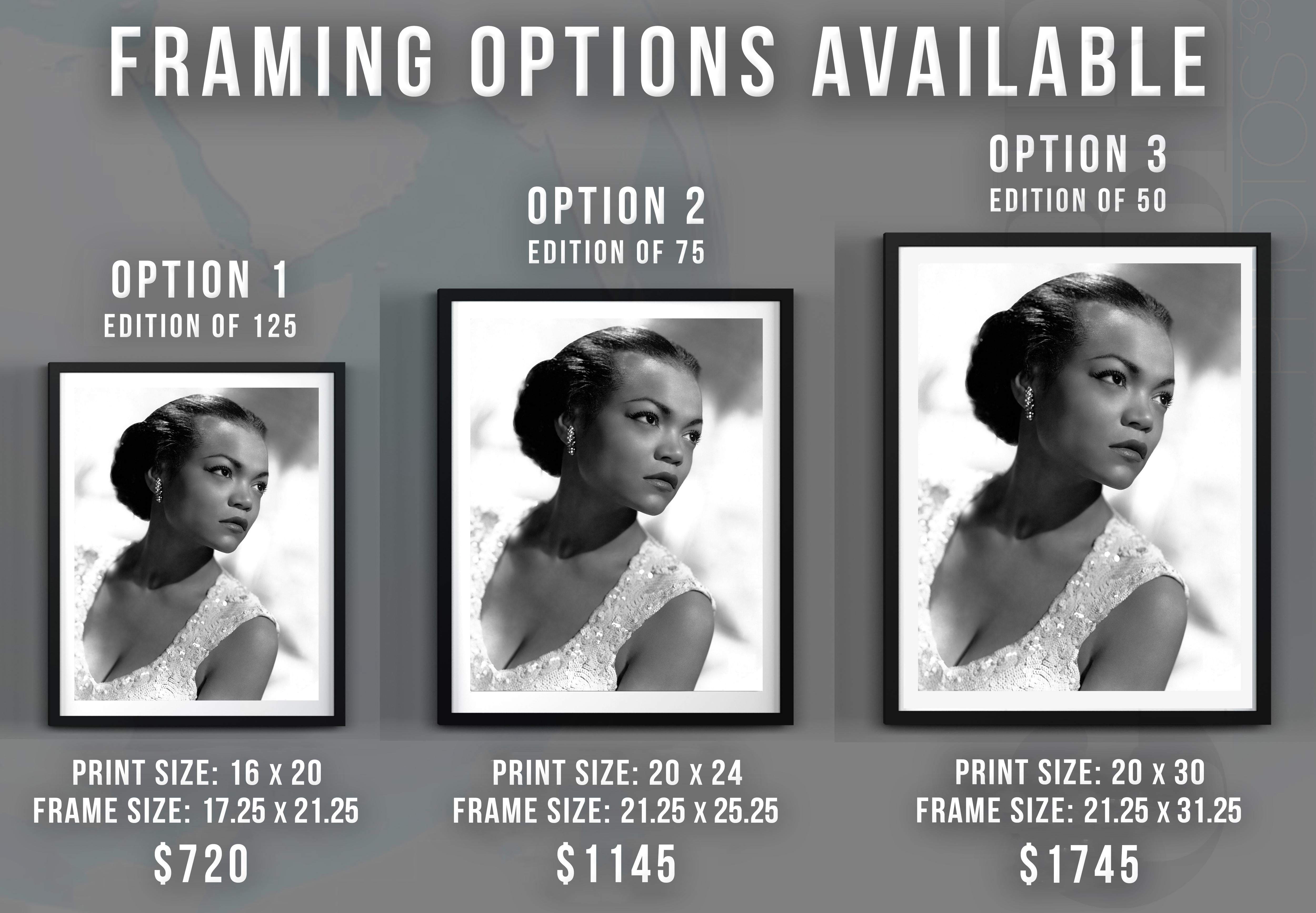eartha globe images