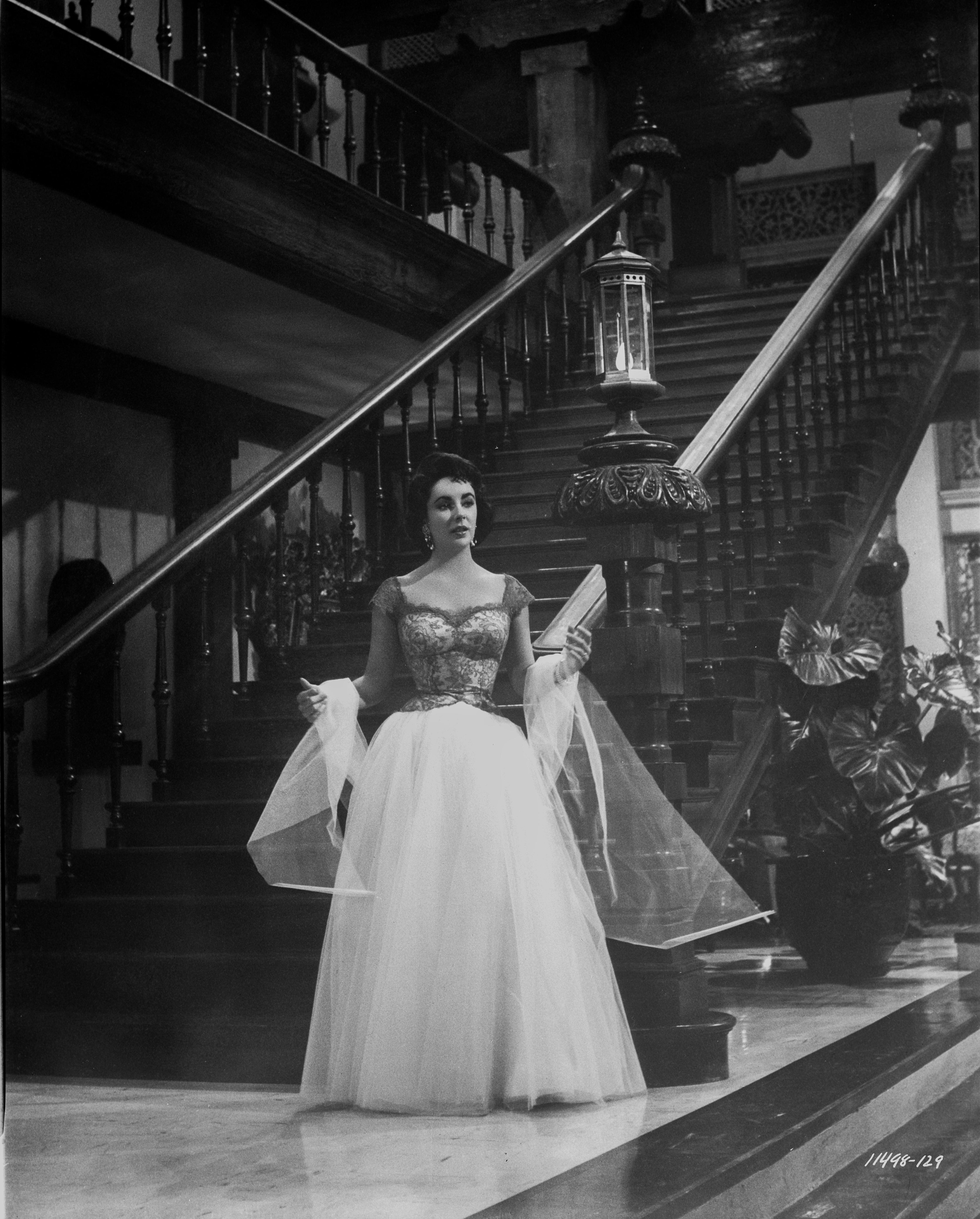 Unknown Black and White Photograph - Elizabeth Taylor: Elephant Walk