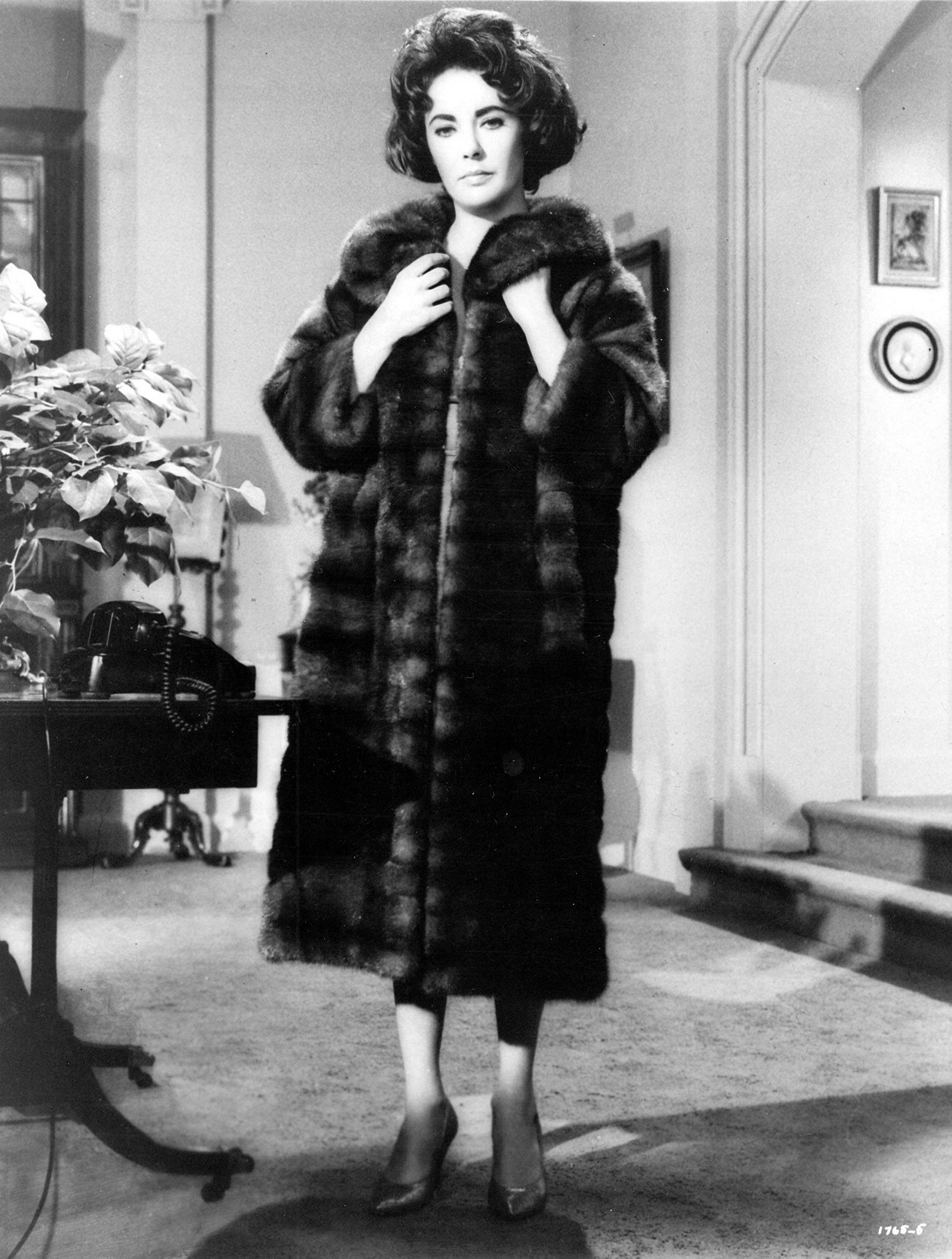 Unknown Portrait Photograph - Elizabeth Taylor in Fur Coat for "Butterfield 8"