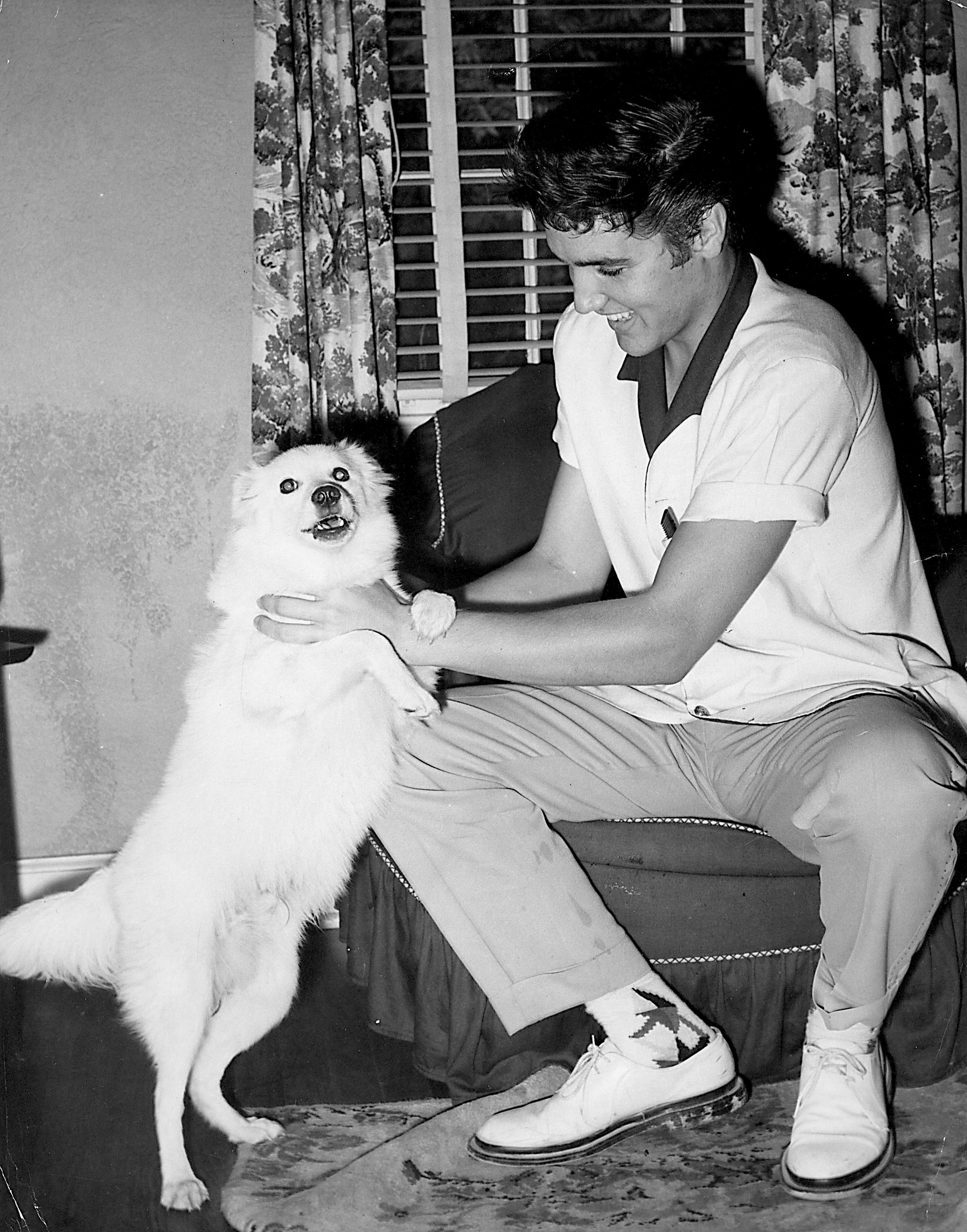 Unknown Portrait Photograph – Elvis Presley Streichelhund