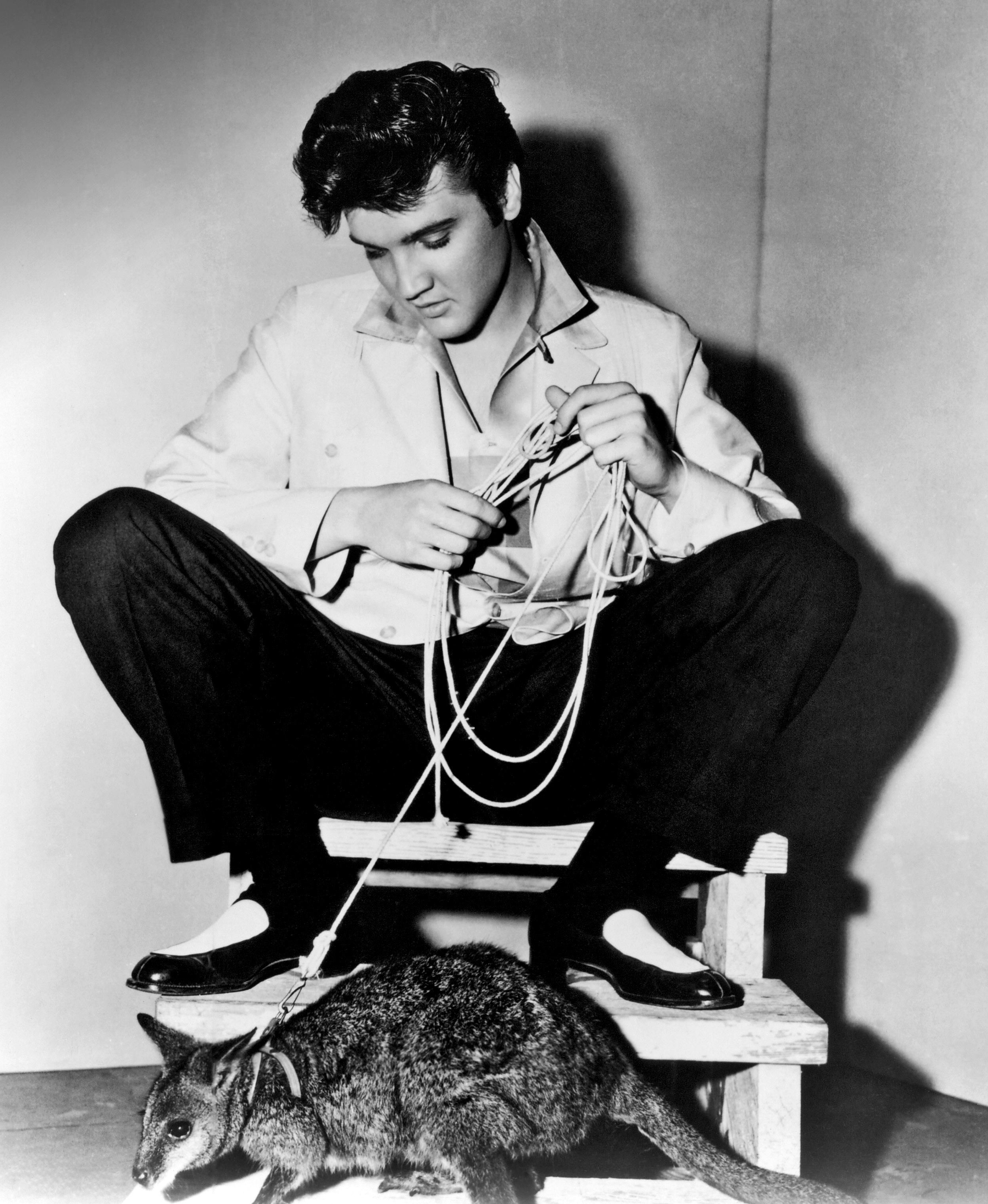 Unknown Black and White Photograph - Elvis Presley: The King with His Kangaroo Globe Photos Fine Art Print