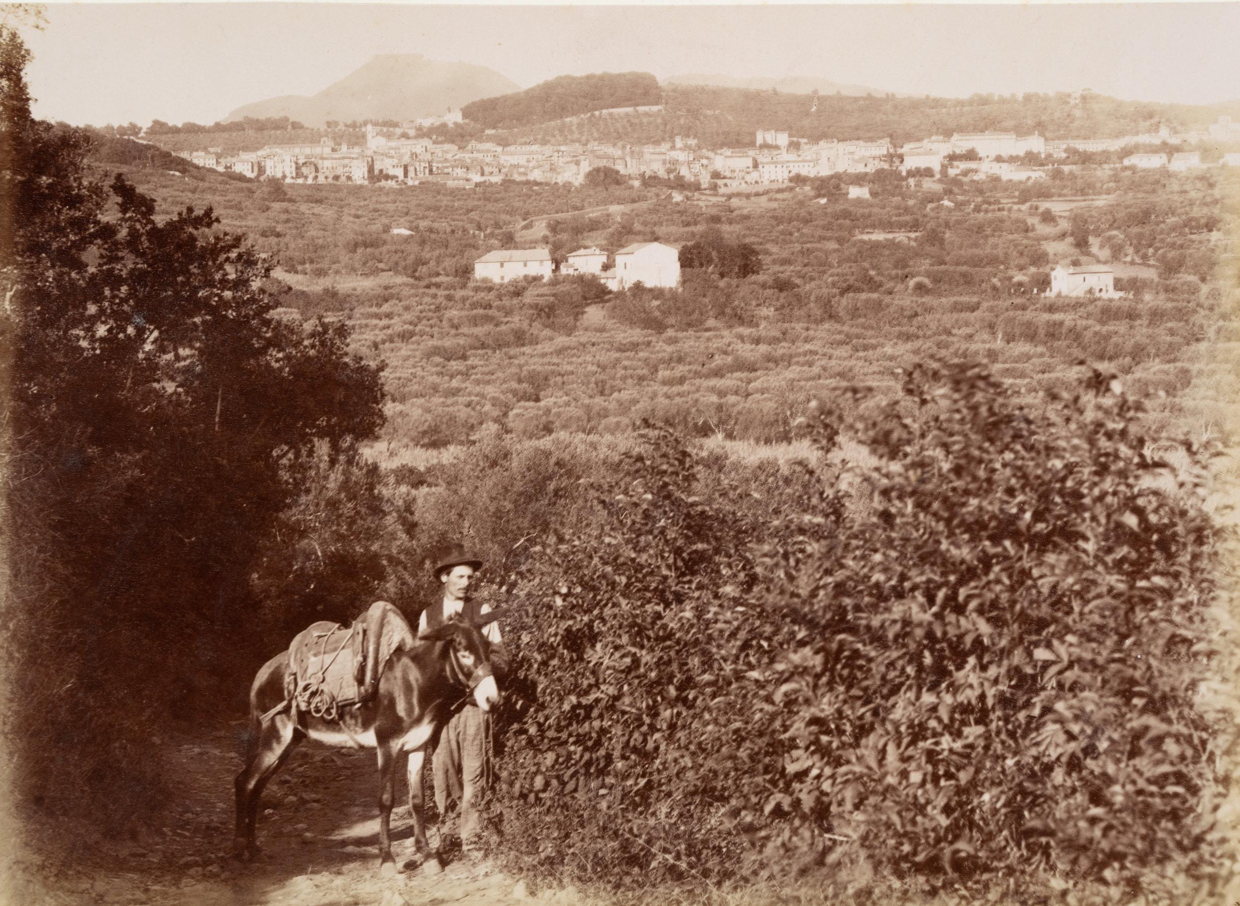 Domenico Anderson Landscape Photograph - Farmer in the Alban Hills