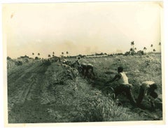 Bauern – Historisches Foto – 1960er Jahre