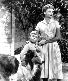Arrêt sur image de Lassie