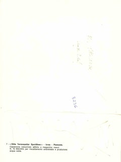 First Solar Panels: "Ditta Termosanitar Eporidiese" - Vintage Photograph - 1970s