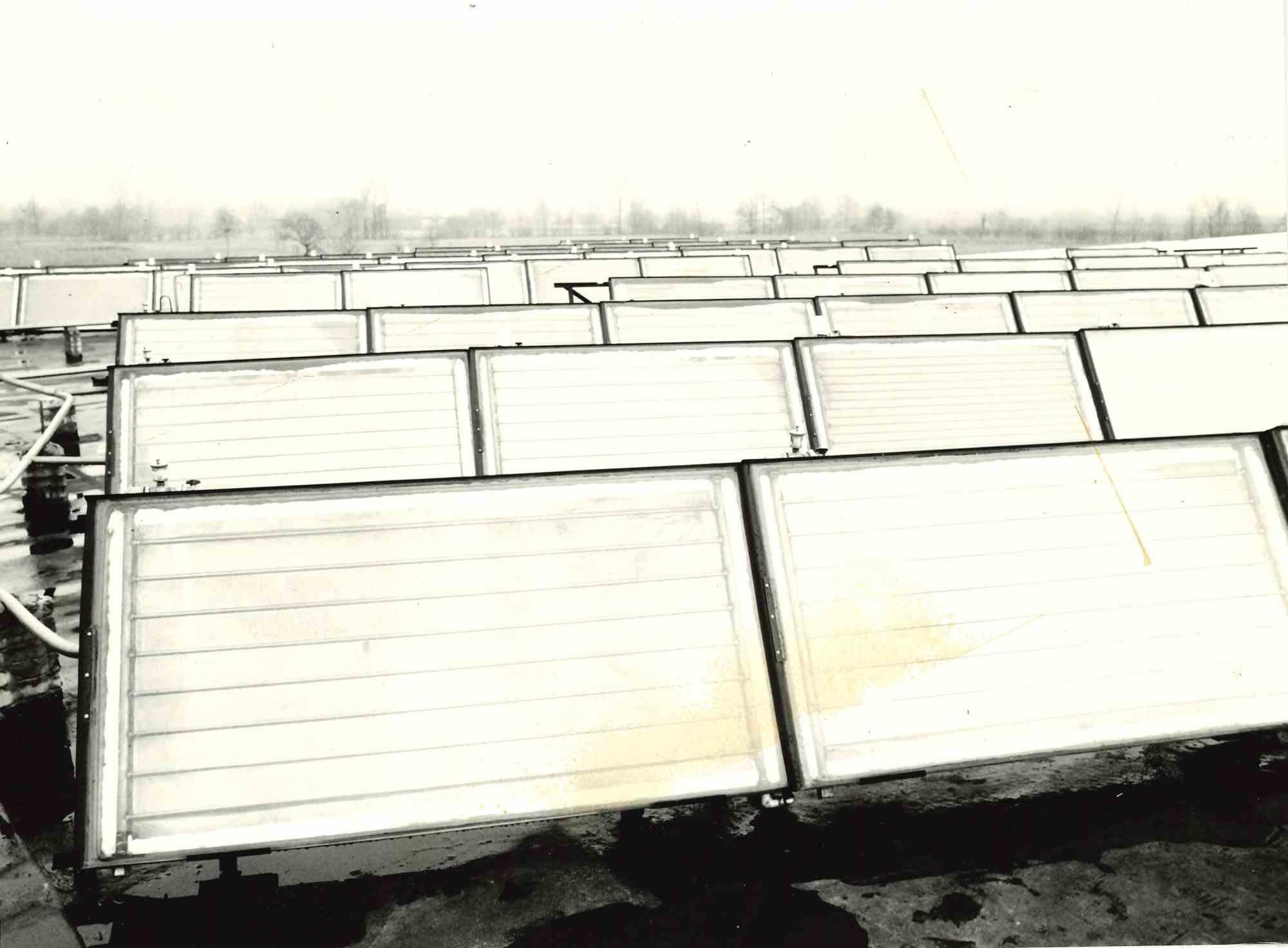 First Solar Panels: "Ditta Termosanitar Eporidiese" - Vintage Photograph - 1970s