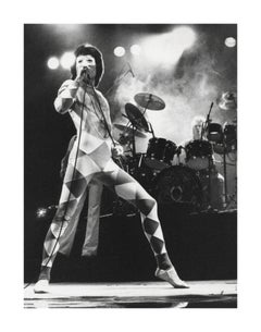 Freddie Mercury: Queen Frontman on Stage