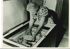 Frozen Food Industry - American Vintage Photograph - Mid 20th Century