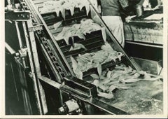 Frozen Food Industry -  American Vintage Photograph - Mid 20th Century