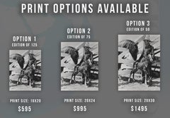 Gene Autry with Horses Fine Art Print