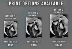 Ginger Rogers "Gold Diggers of 1933" Globe Photos Fine Art Print