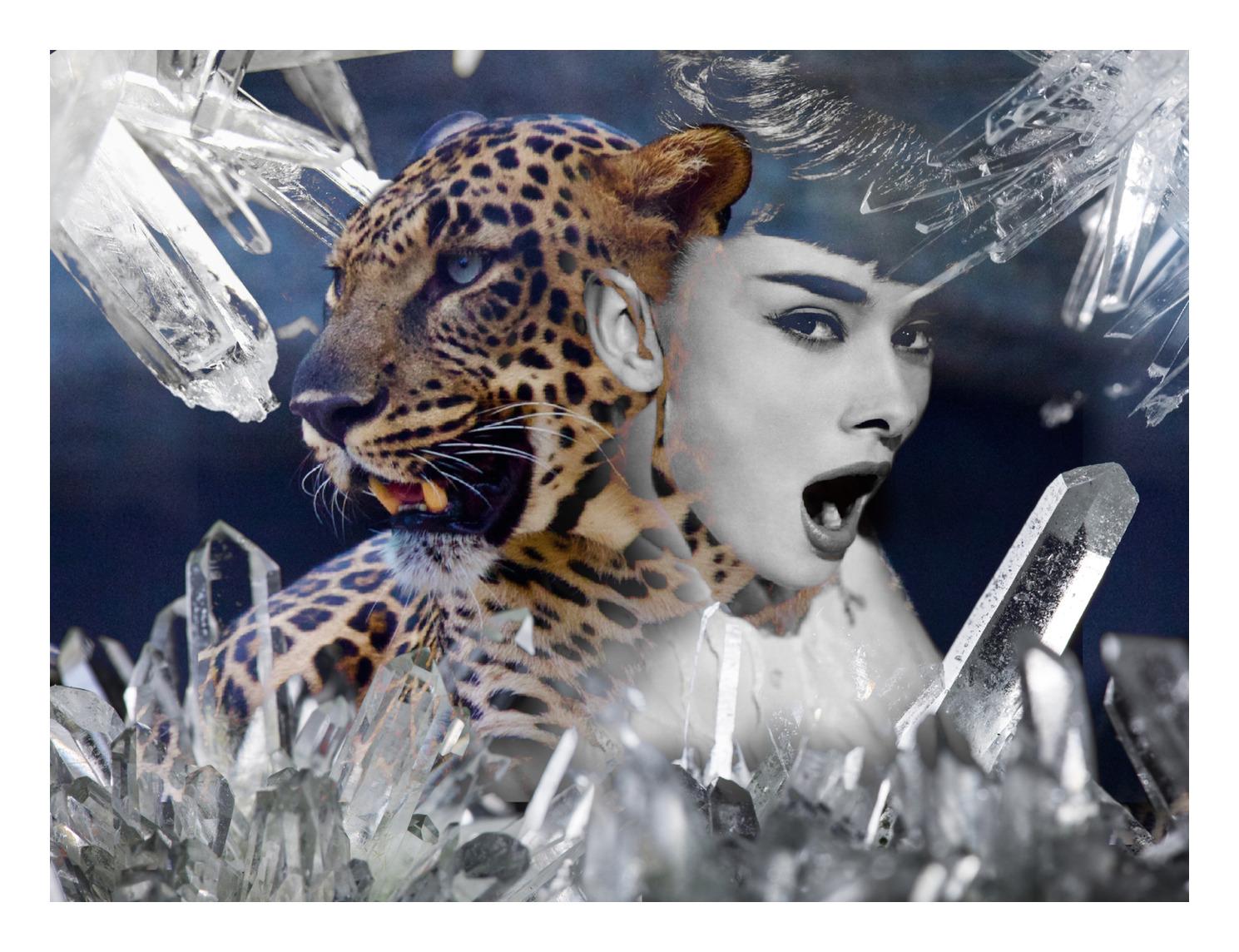 Gebt mir Wildheit – Photograph von Unknown