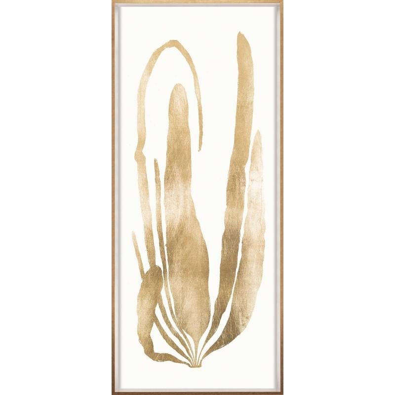 Unknown Black and White Photograph - Gold Leaf Seaweeds, No. 2, framed