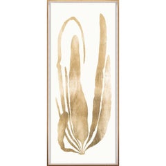 Gold Leaf Seaweeds, No. 2, framed
