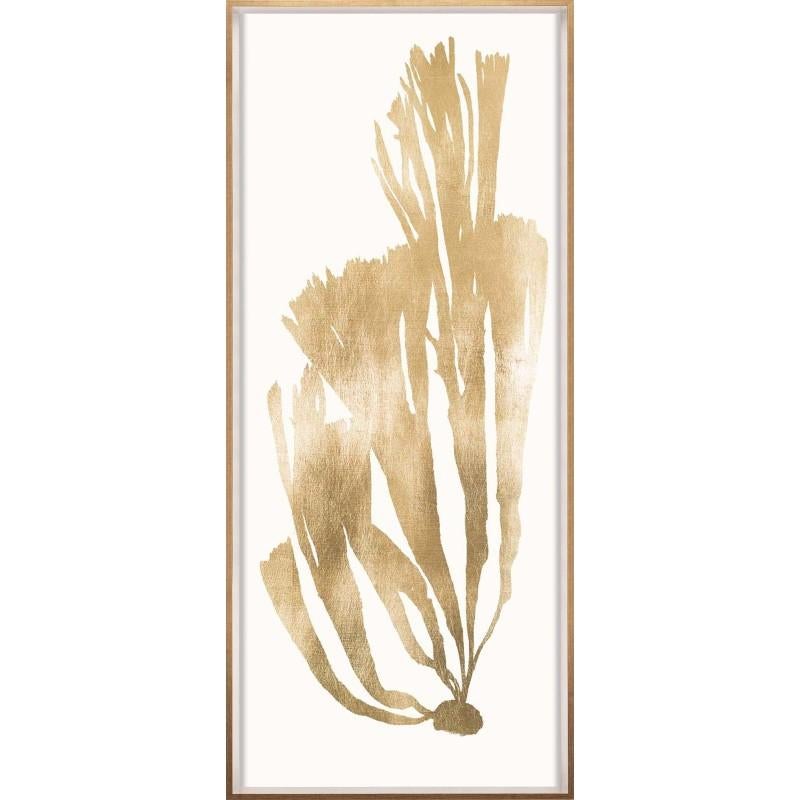 Unknown Black and White Photograph - Gold Leaf Seaweeds, No. 4, framed