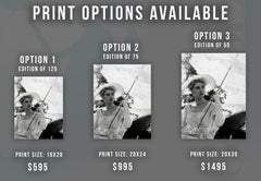 Grace Kelly Elegant Portrait for "The Swan" II Globe Photos Fine Art Print