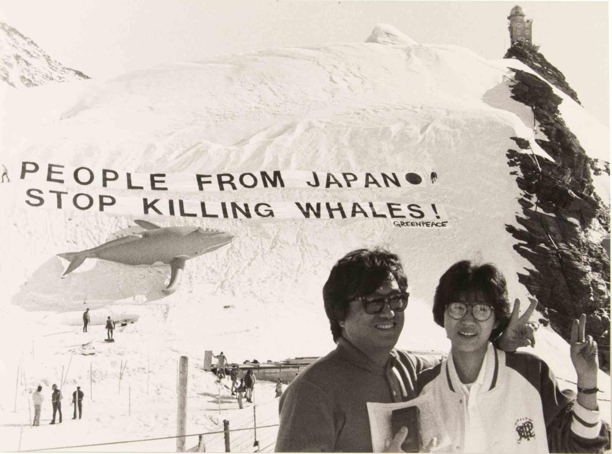 Figurative Photograph di Unknown - Manifestazione di Greenpeace  su "La cima dell'Europa" - Fotografia d'epoca - 1989