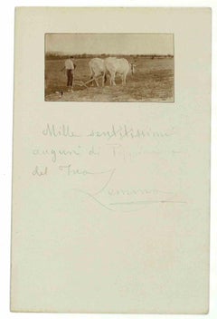 Greeting Card - Postcard - 1940s
