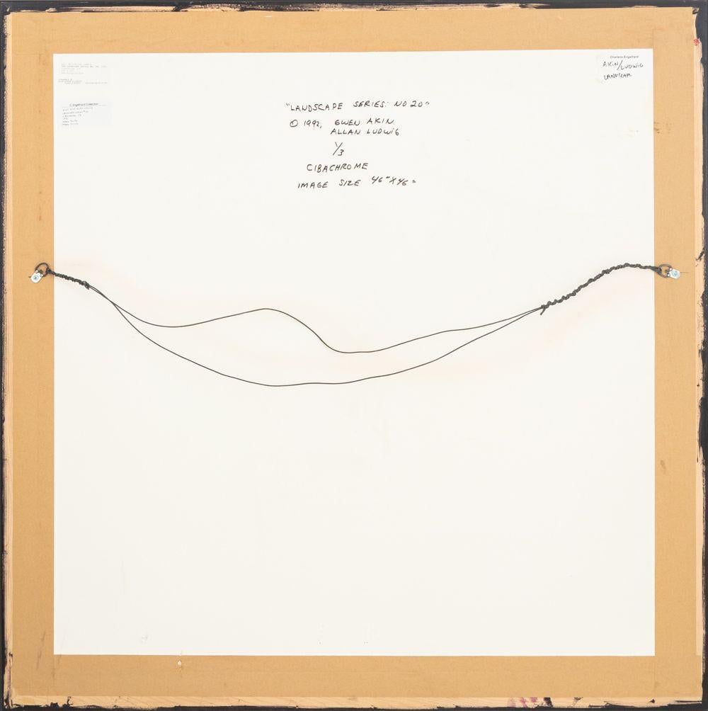 Gwen Akin & Allan Ludwig Landscape Cibachromes, 2 For Sale 8