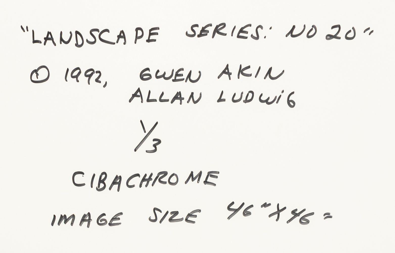 Gwen Akin & Allan Ludwig Landscape Cibachromes, 2 For Sale 9