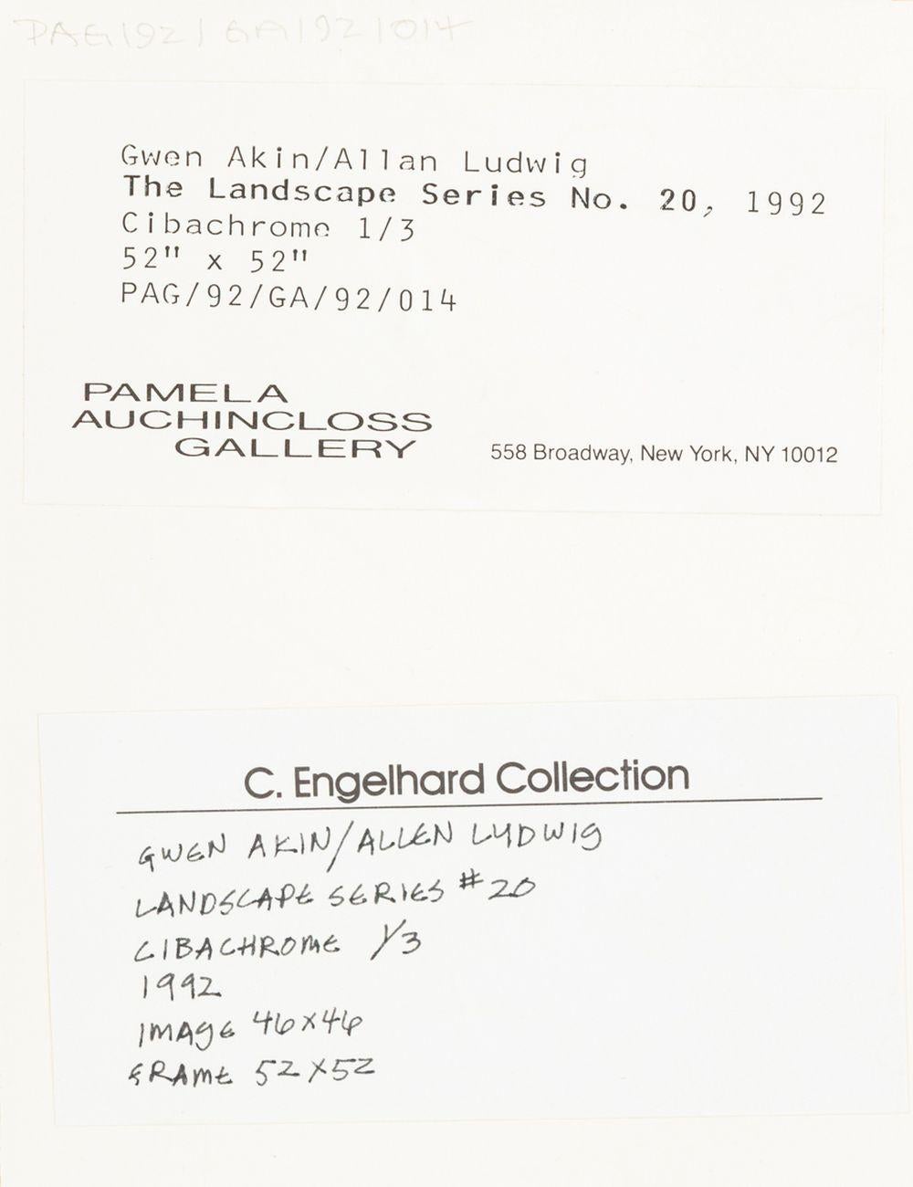 Gwen Akin & Allan Ludwig Landscape Cibachromes, 2 For Sale 10