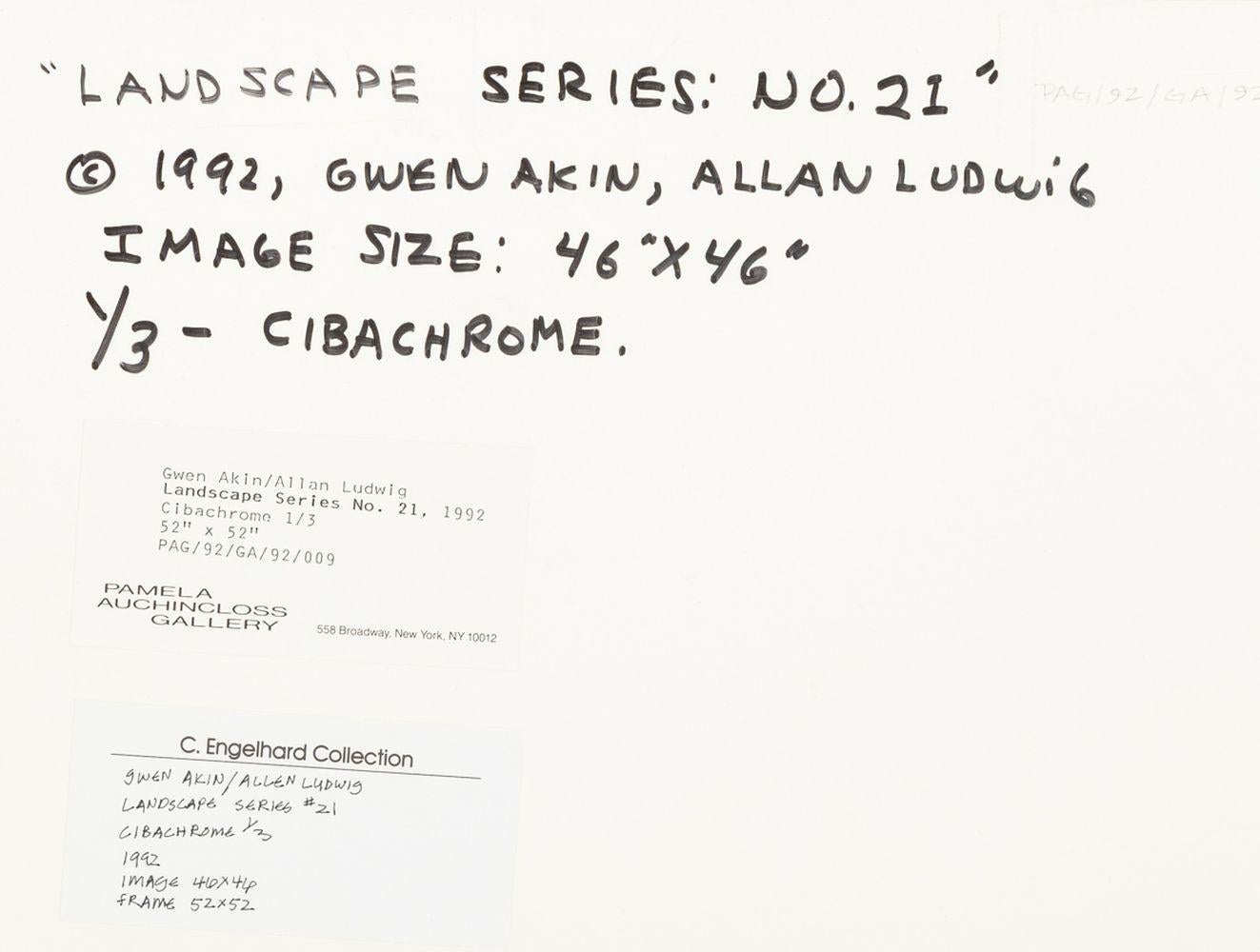 Gwen Akin & Allan Ludwig Landscape Cibachromes, 2 For Sale 2