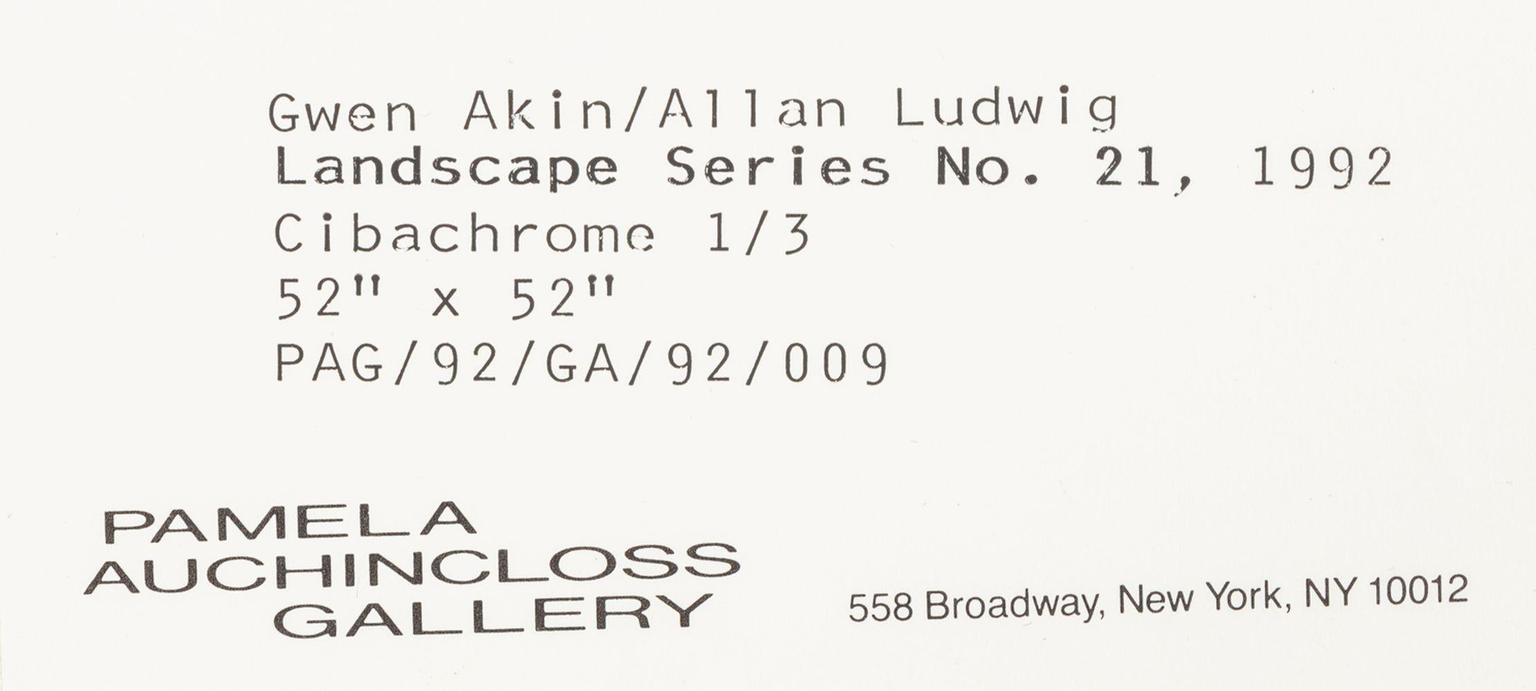Gwen Akin & Allan Ludwig Landscape Cibachromes, 2 For Sale 3