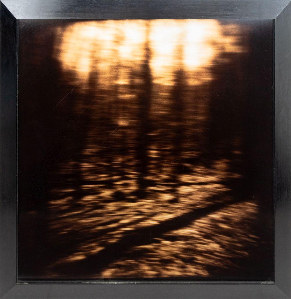 Gwen Akin & Allan Ludwig Landscape Cibachromes, 2 For Sale 4