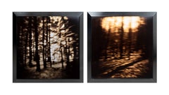 Landscape Photography