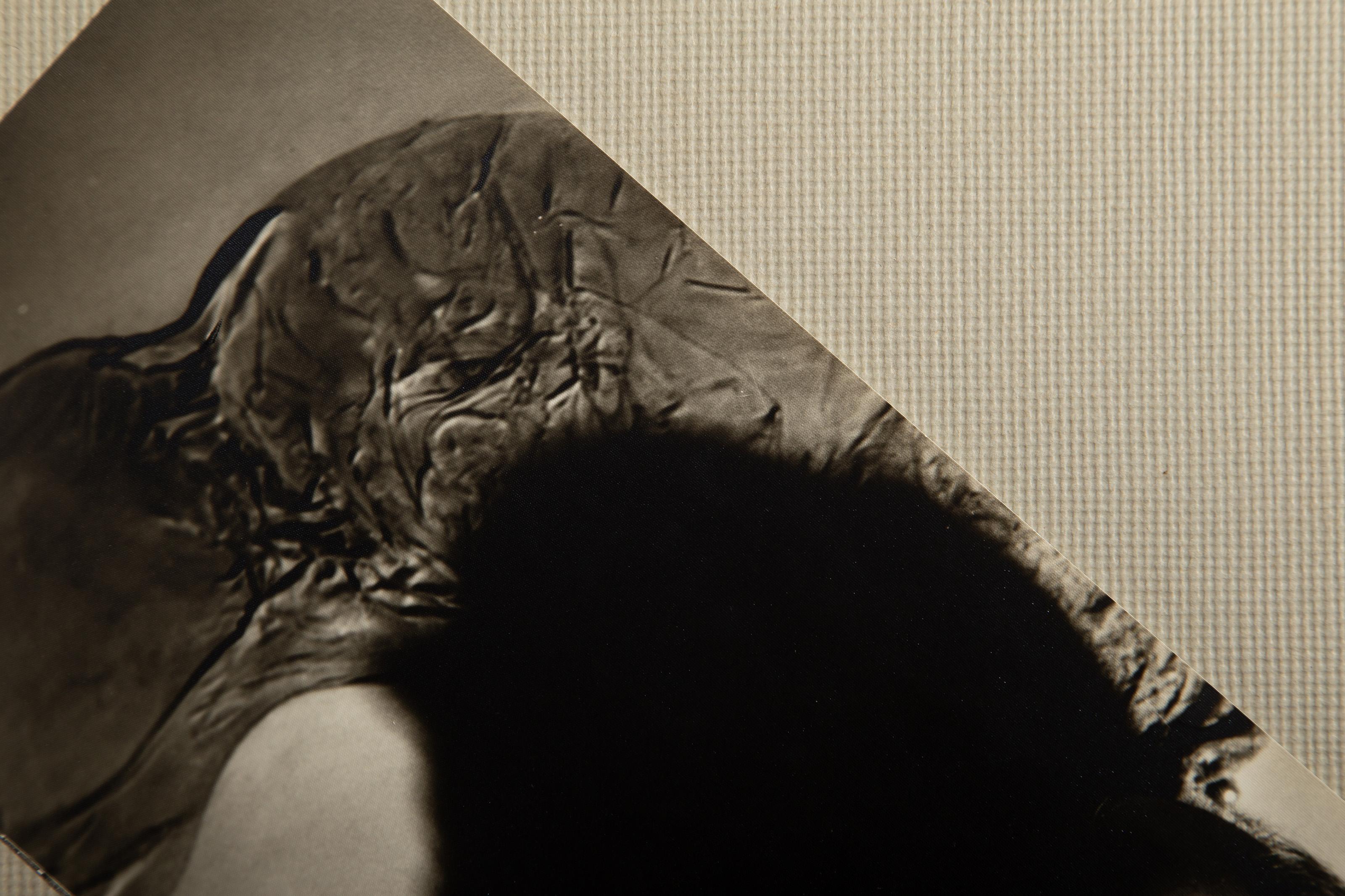  Unknown Artist - Hans Bellmer, Medium: Photograph, Size: 15 x 11 in. (38.1 x 27.94 cm), Description: From the collection of the late Larry Saphire.