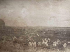 Historical Photo - Animals - Vintage Photograph - Mid-20th Century