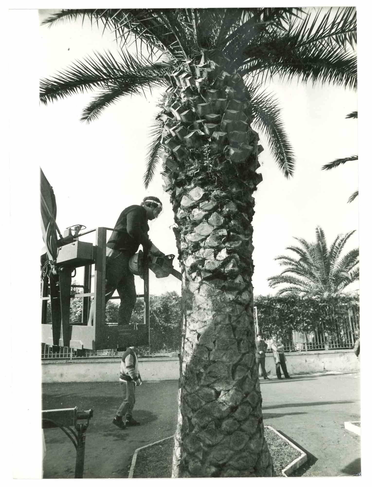 Figurative Photograph Unknown - Photo historique de Prison - Rebibbia - Prisoner Working  - 1970s