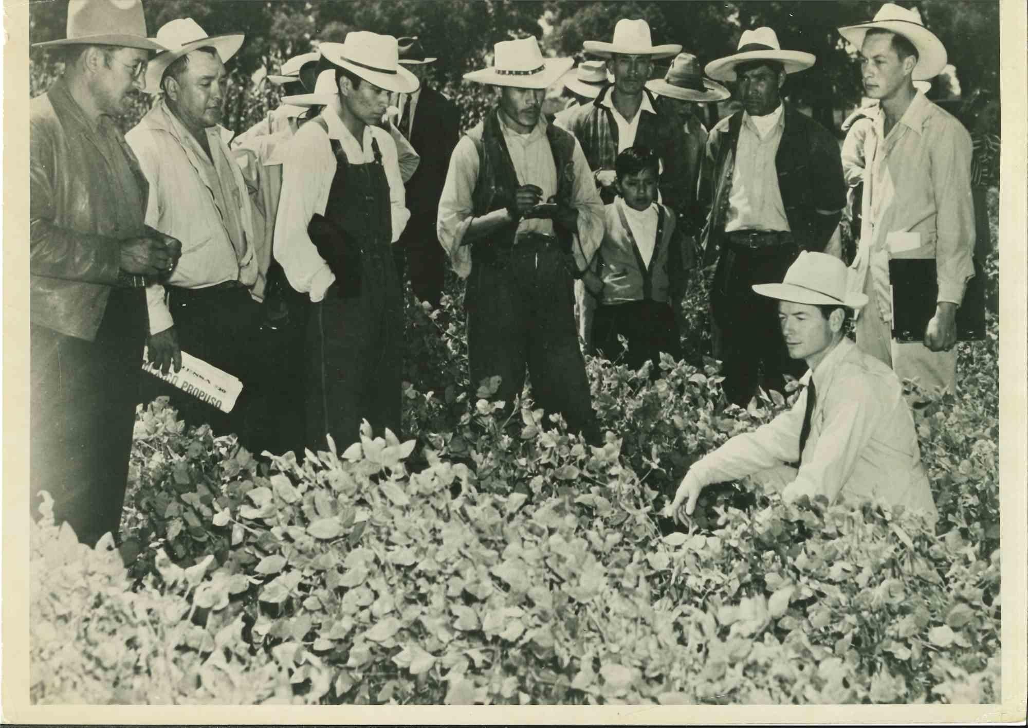 Unknown Figurative Photograph - Improving World Agriculture - American Vintage Photograph - Mid 20th Century