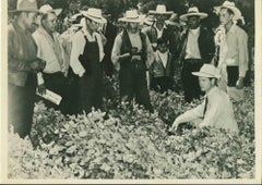 Improving World Agriculture – amerikanische Vintage-Fotografie – Mitte des 20. Jahrhunderts